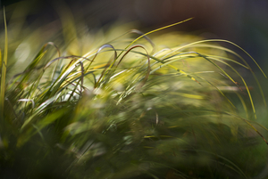 Uber Exif Photo