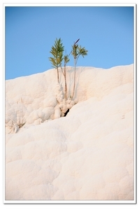Uber Exif Photo