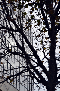 Uber Exif Photo