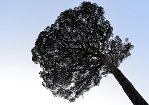 Uber Exif Photo