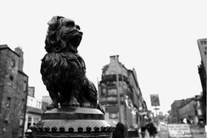Uber Exif Photo
