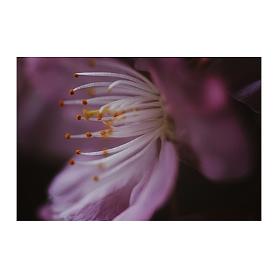 Uber Exif Photo