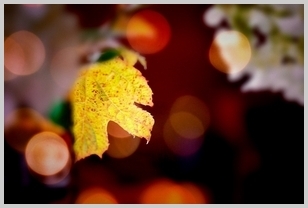 Uber Exif Photo