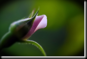 Uber Exif Photo
