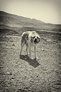 Uber Exif Photo