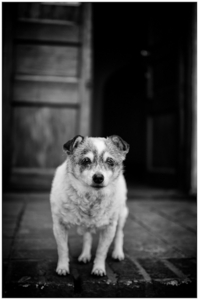 Uber Exif Photo