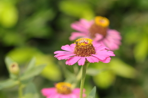 Uber Exif Photo