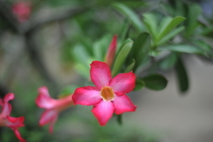 Uber Exif Photo