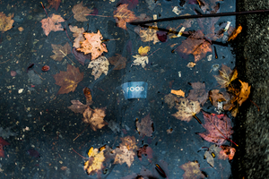 Uber Exif Photo