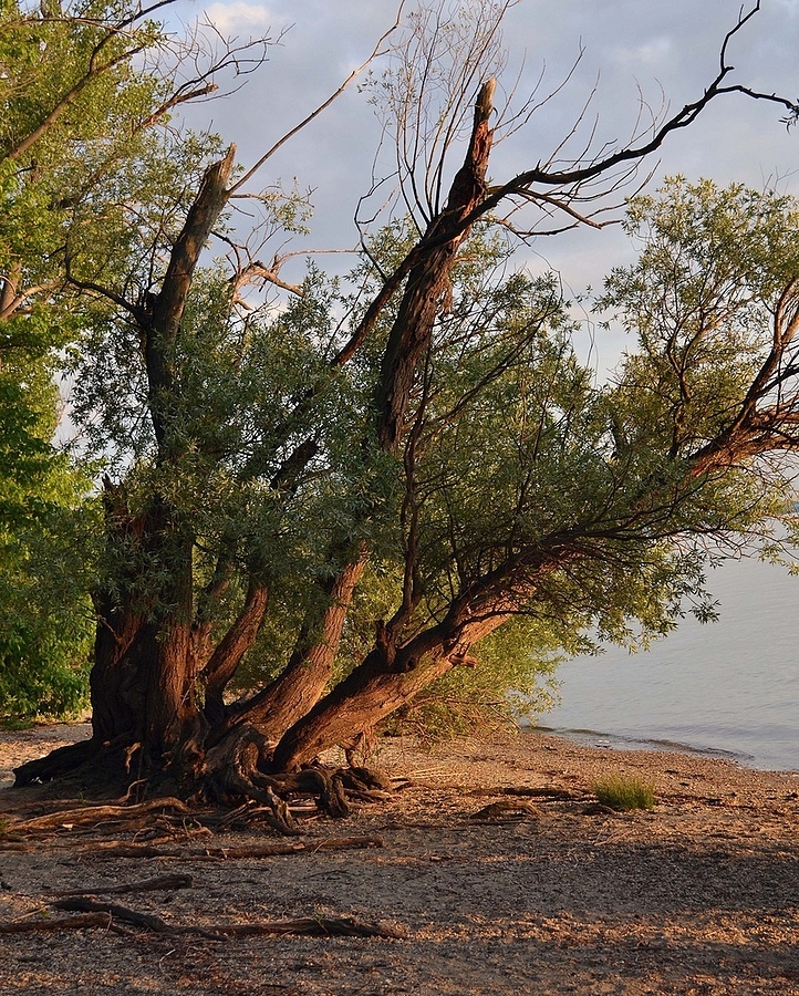 Photo: 124422