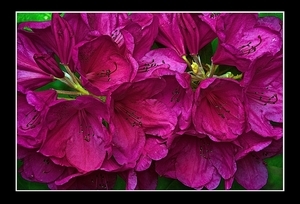 Uber Exif Photo