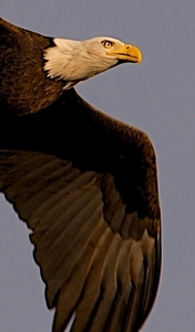 Uber Exif Photo