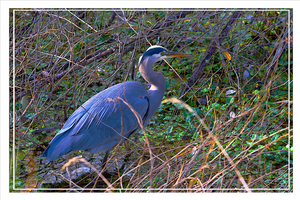 Uber Exif Photo