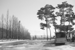 Uber Exif Photo
