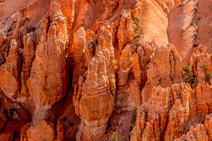 Uber Exif Photo