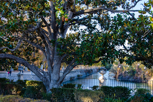 Uber Exif Photo