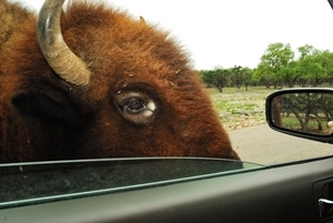 Uber Exif Photo