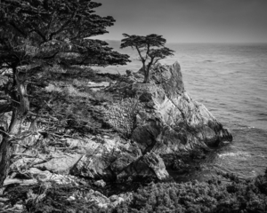 Uber Exif Photo