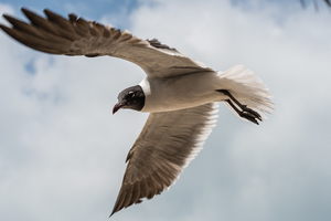 Uber Exif Photo