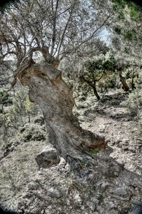 Uber Exif Photo