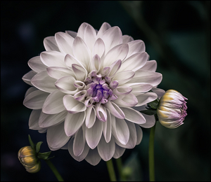 Uber Exif Photo