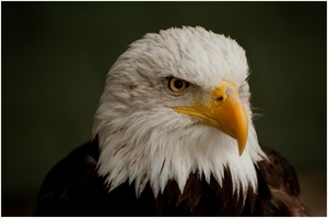 Uber Exif Photo