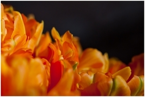 Uber Exif Photo