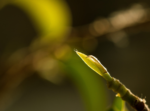 Uber Exif Photo