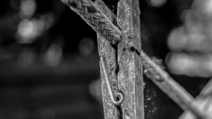 Uber Exif Photo