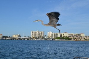 Uber Exif Photo