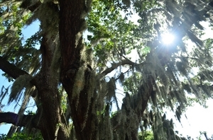 Uber Exif Photo