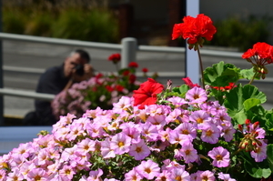Uber Exif Photo