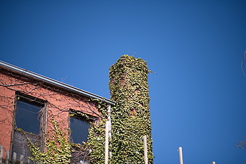 Uber Exif Photo