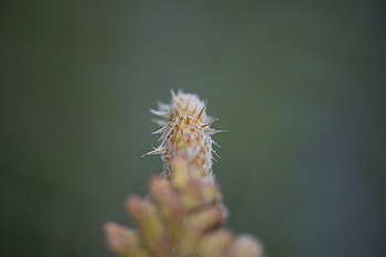 Uber Exif Photo
