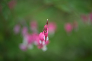 Uber Exif Photo