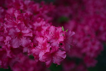 Uber Exif Photo