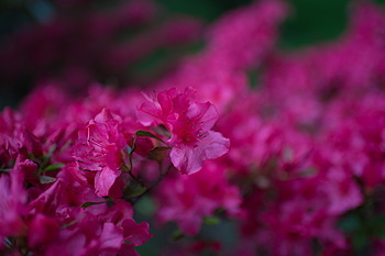 Uber Exif Photo