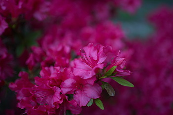 Uber Exif Photo