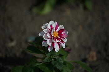 Uber Exif Photo