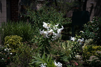 Uber Exif Photo