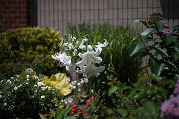Uber Exif Photo