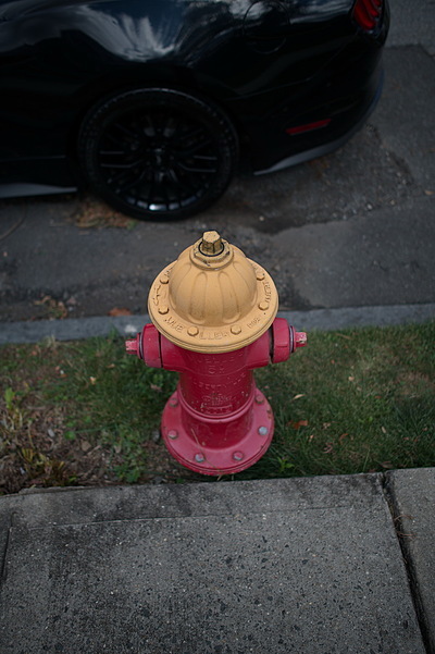 Uber Exif Photo