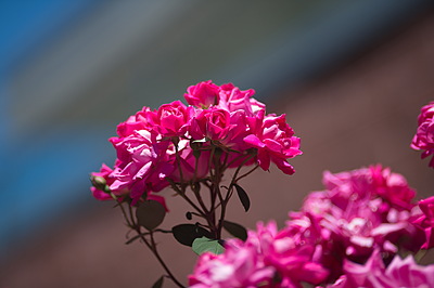 Uber Exif Photo