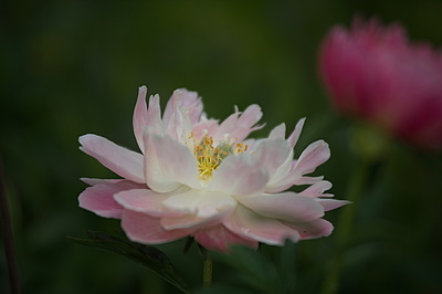 Uber Exif Photo