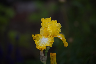 Uber Exif Photo