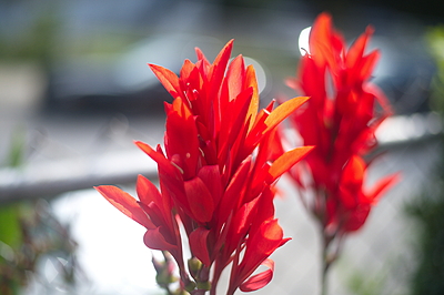Uber Exif Photo