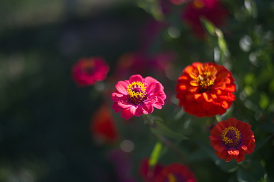 Uber Exif Photo