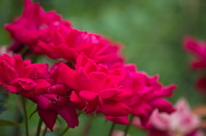 Uber Exif Photo
