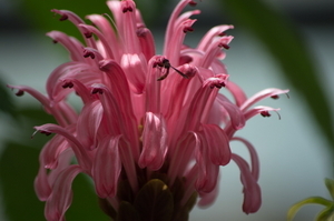 Uber Exif Photo