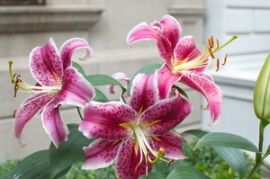 Uber Exif Photo